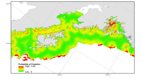 Predation Risk Map